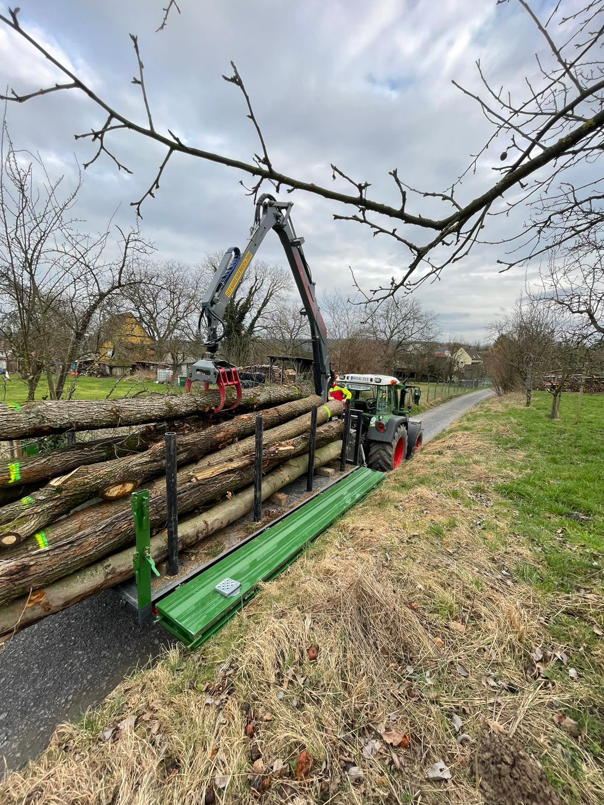 Baumfällungen