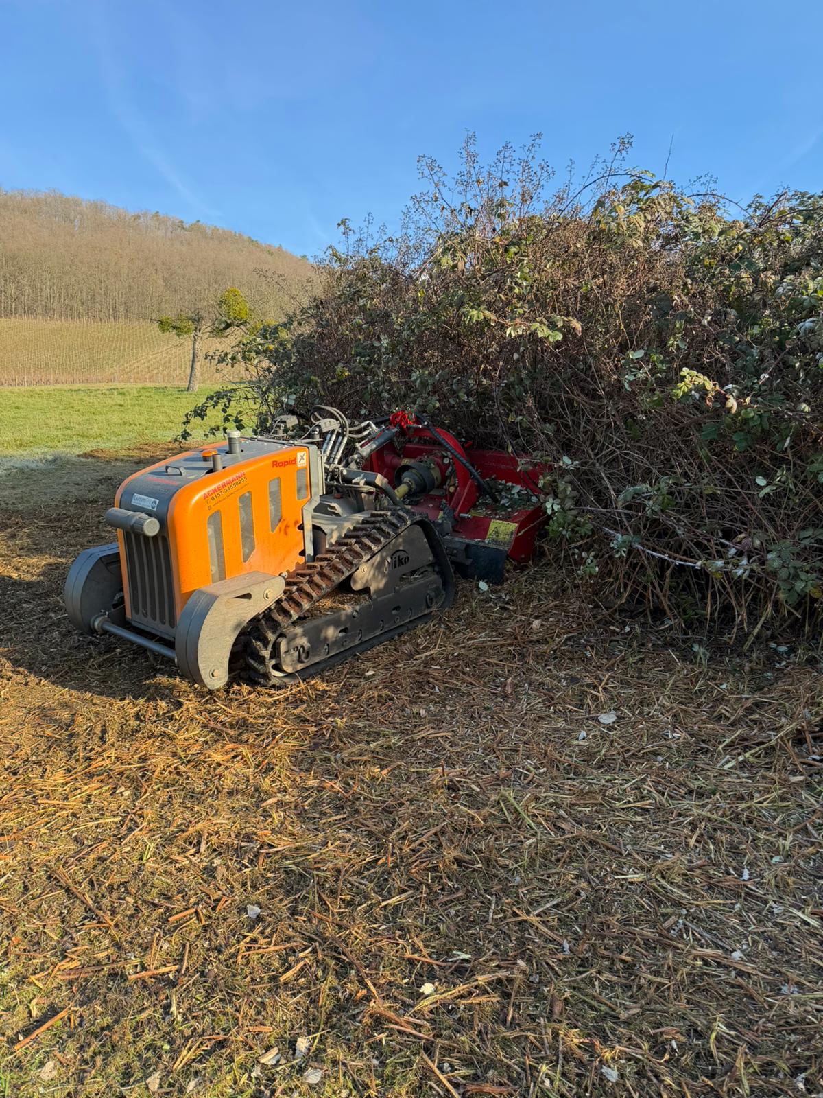 Mulcher im Hangbereich