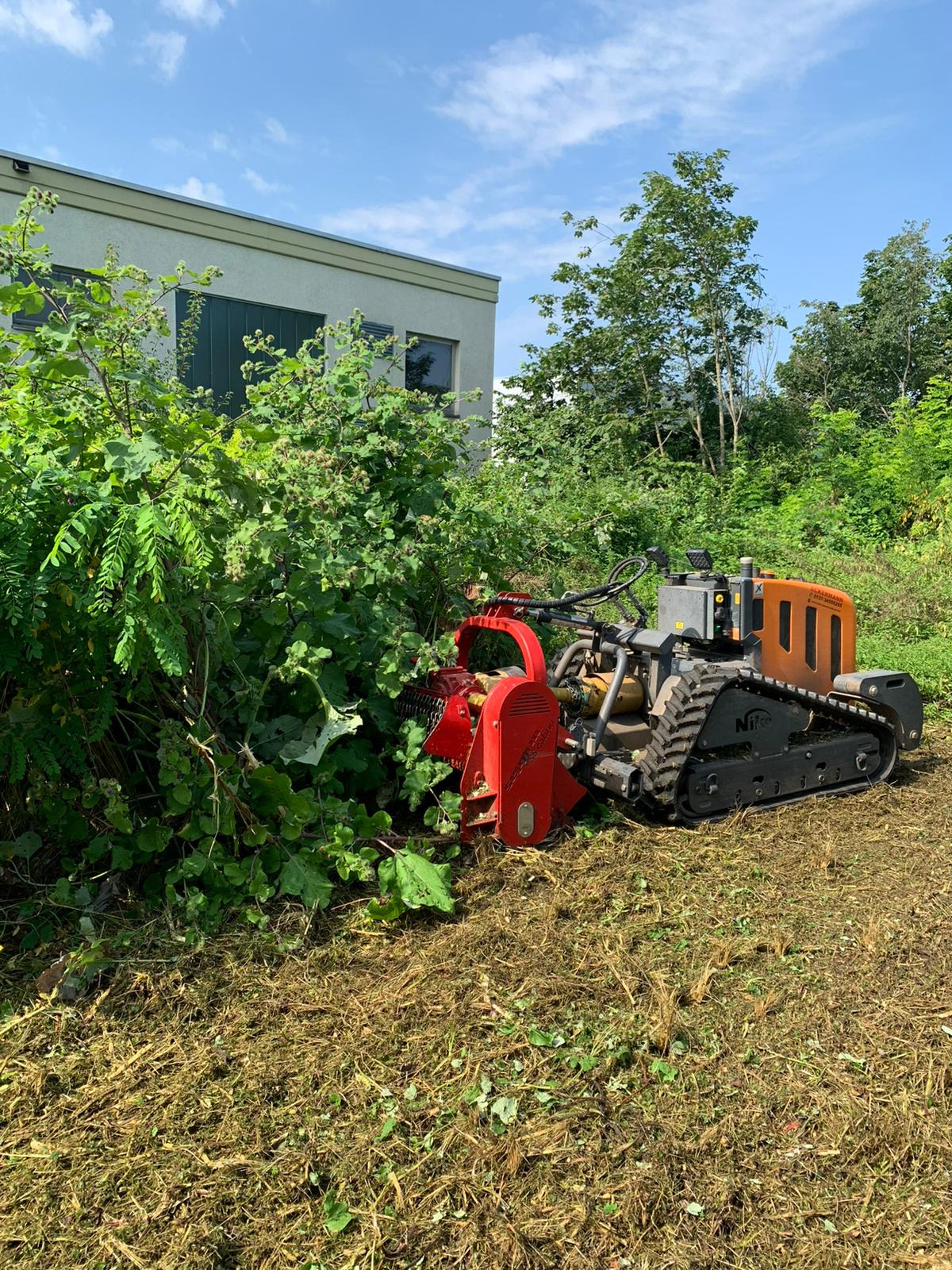 Mulcher bei der Arbeit