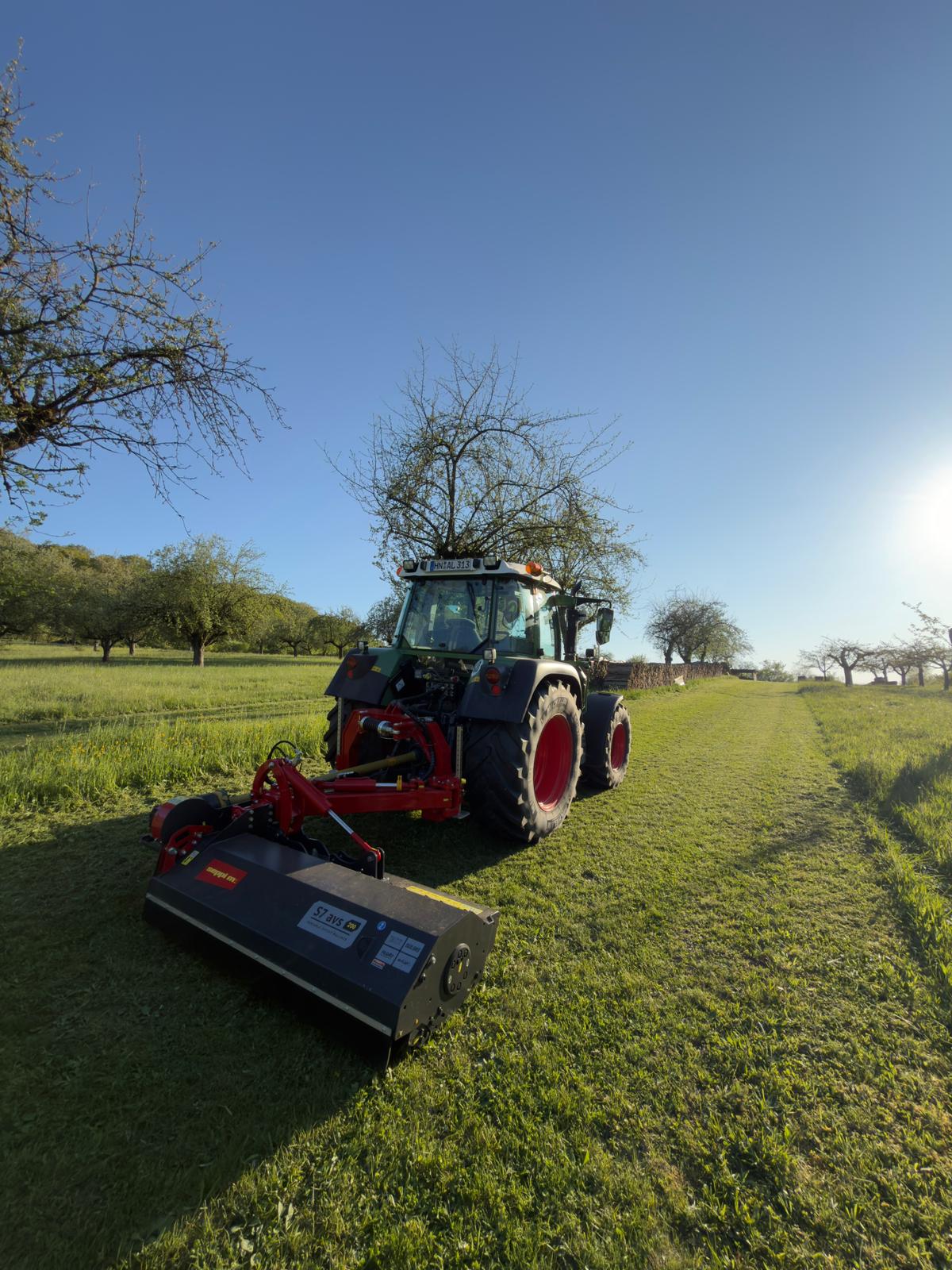 Mulcher bei der Arbeit